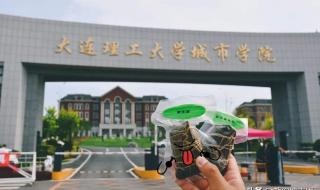 大连理工大学城市学院入学须知